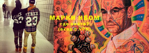 гидра Алексин