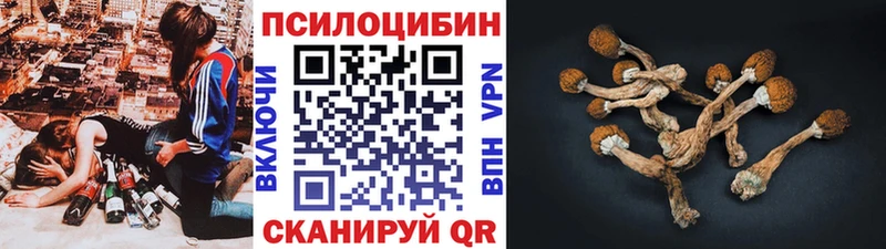 продажа наркотиков  Нурлат  Галлюциногенные грибы прущие грибы 