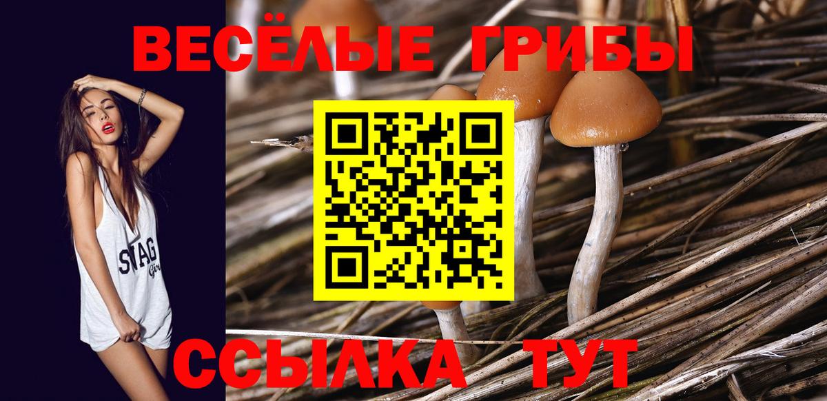 Псилоцибиновые грибы Magic Shrooms Нурлат