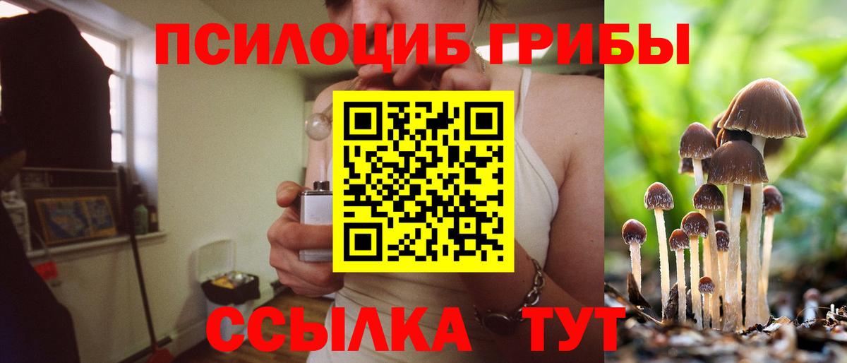 Галлюциногенные грибы Magic Shrooms  Псилоцибиновые грибы Psilocybine cubensis  Нурлат  Вход с VPN 